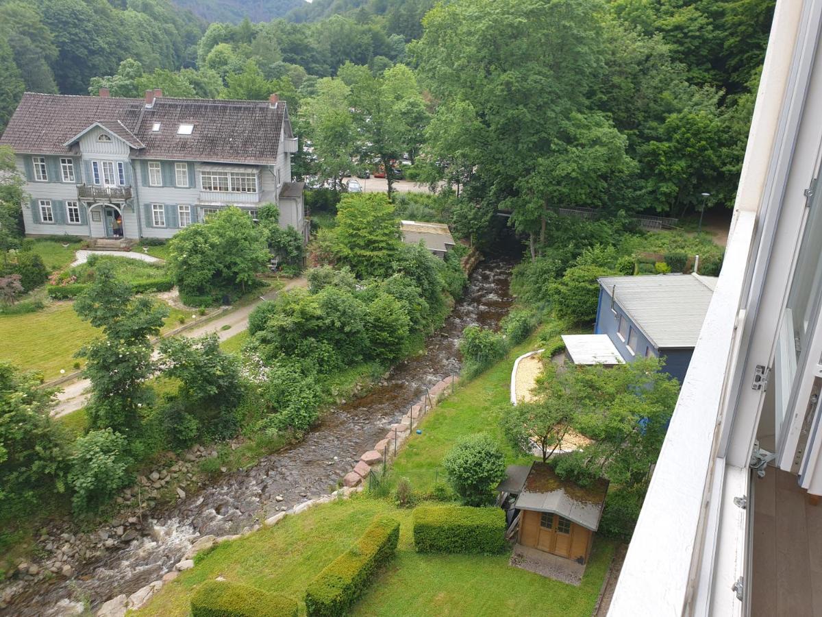 Apartz - Bad Harzburg - Apartment Mit Sauna In Idealer Lage Mit Bergblick Exterior photo